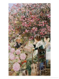 The Serenade