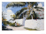 A Garden in Nassau  1885