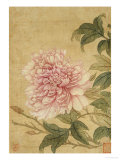 Peony