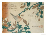 A Paddy Bird Perched on a Flowering Magnolia Branch from the Series "Small Flowers"