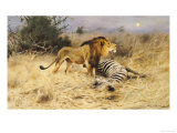 A Lion with His Prey