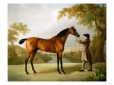 Tristram Shandy  a Bay Racehorse Held by a Groom in an Extensive Landscape  circa 1760