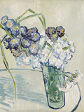 Vase of Carnations  c1890