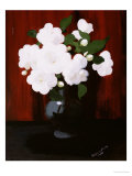 White Camelias