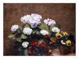 Hydrangeas  Wallflowers and Two Pots of Pansies  1879
