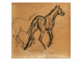 Horses  circa 1882