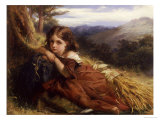 An Autumn Afternoon