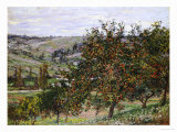 Apple Trees Near Vetheuil