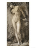 Andromeda