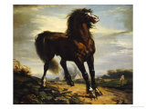 The Horse