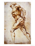 Anatomical Study: a Nude Striding to the Right His Hands Behind His Back