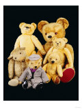 A Selection of Teddy Bears