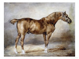 Horse in a Stable