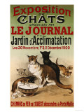 Exposition de Chats  1900