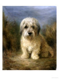 A Dandie Dinmont