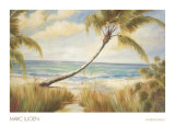 Shoreline Palms I