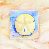 Sand dollar