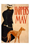Harper's Bazaar  Greyhound