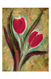 Tulip