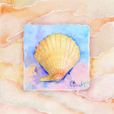 Scallop