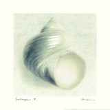 Sea Shapes IV