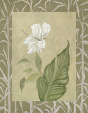 Pure and Organic II