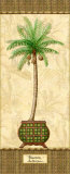 Botanical Palms II