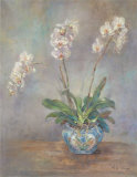 Orchid Heirloom II