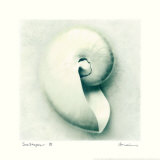 Sea Shapes III