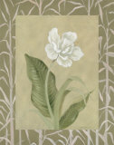 Pure and Organic I