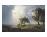 California Spring  1875