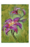 Lily