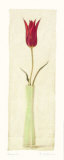 Blossom I