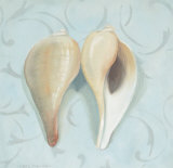 Fig Shell