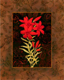 Damask Lily