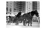 Carriage in Central Park  New York