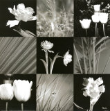 Modern Interpretation II