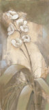 White Hot II