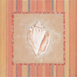 Citrus Shell I