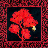 Sea Fan II