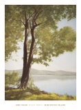 Sunlit Trees I