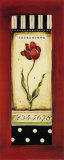Belgian Tulip II