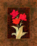 Damask Tulip