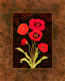 Damask Poppy