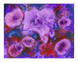 Floral 2