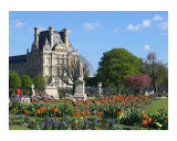 The Louvre in Spring