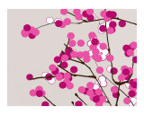 Cherry Blossom at dusk