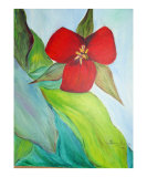 Red flower