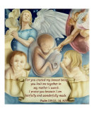 "SANCTITY OF LIFE"
