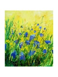 Wild blue bells flowers